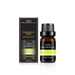 Organic Essential Oils Set Top Sale 100 Natural Therapeutic Grade Aromatherapy Oil Gift kit for Diffuser (Option: Ylang Ylang Essential Oil)